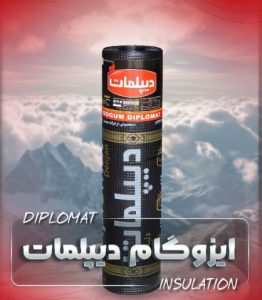  ایزوگام دیپلمات 2