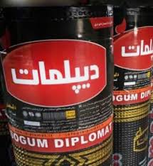  ایزوگام دیپلمات 1